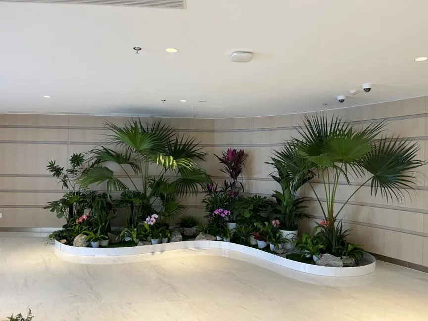 想知道镇海花木出租方案？创意搭配超惊艳