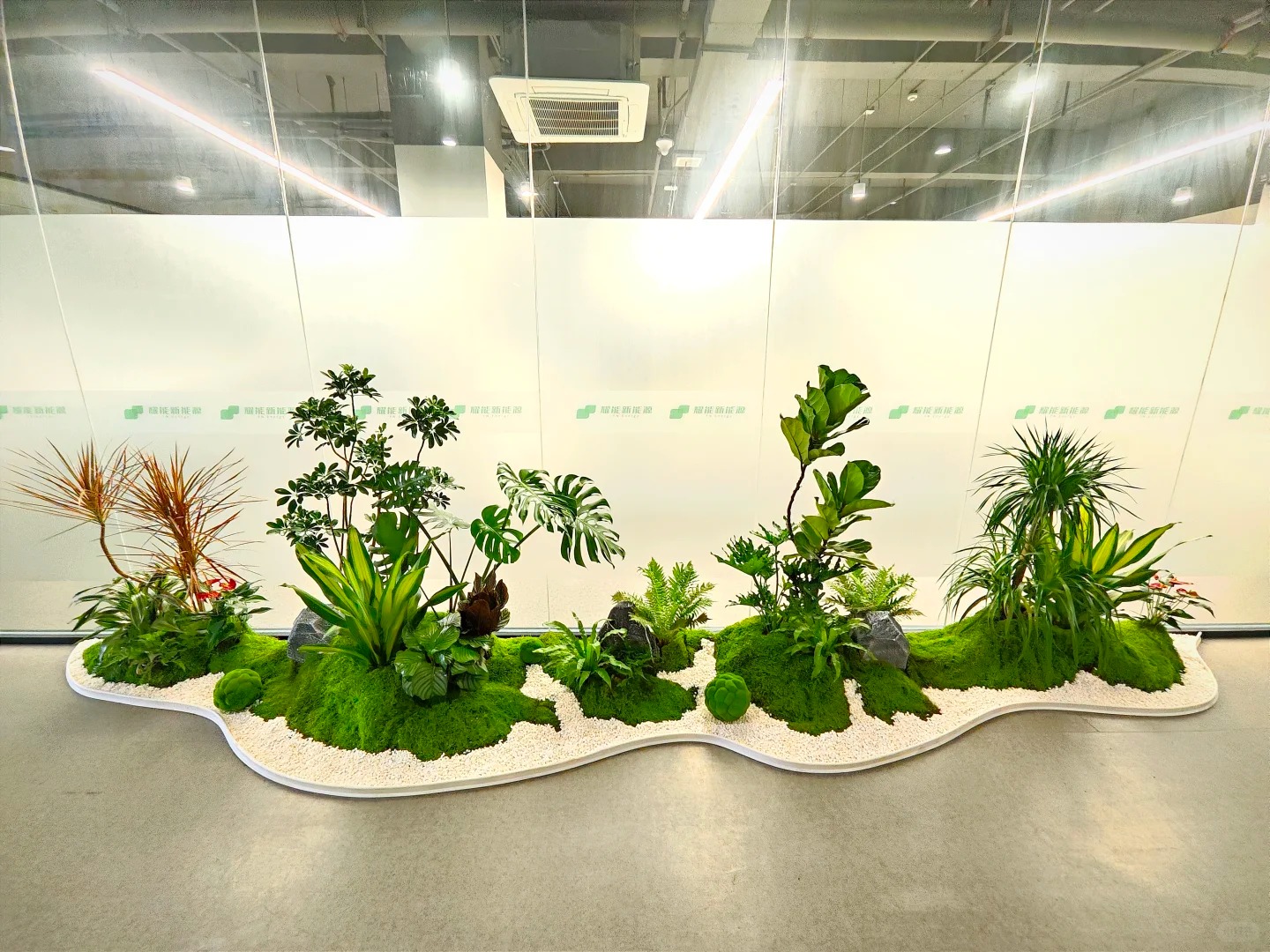 热词聚焦！宁波北仑绿化修剪方案，你了解多少？