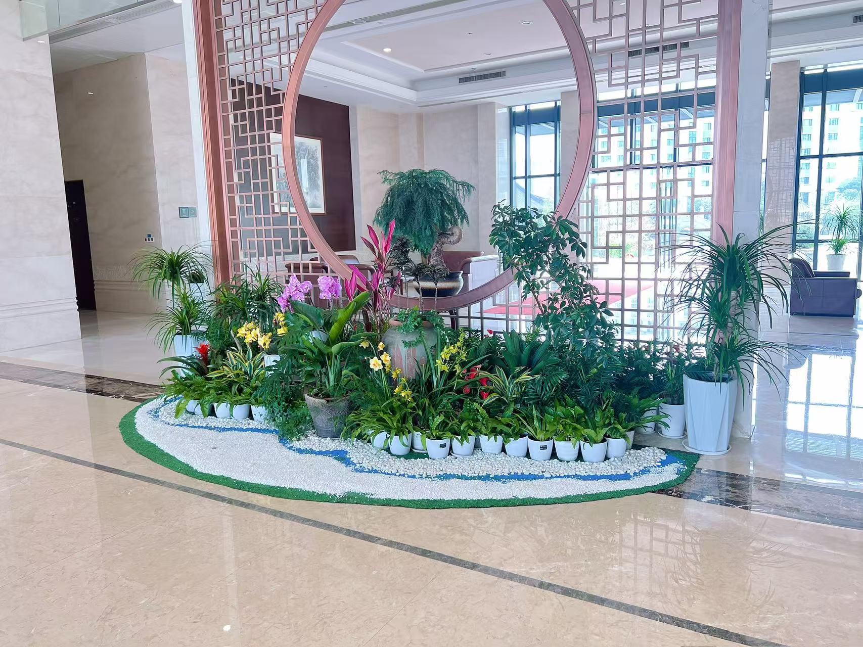 想知道前湾花卉租赁价格？这里有你要的答案！