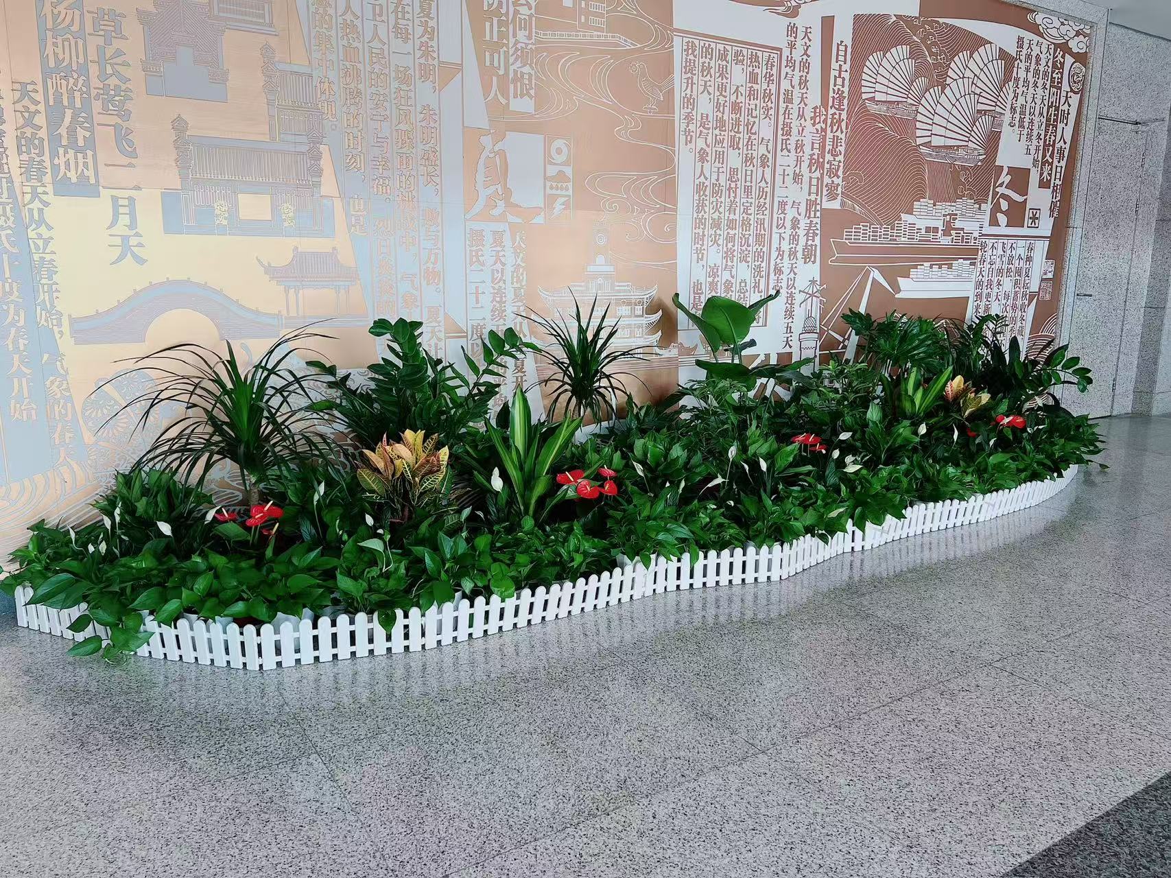 精选宁波海曙盆景租摆方案，装点您的温馨家园